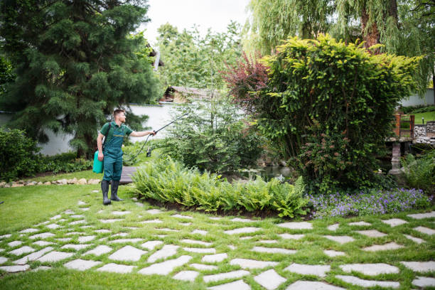 Best Pest Prevention Services  in Puyallup, WA