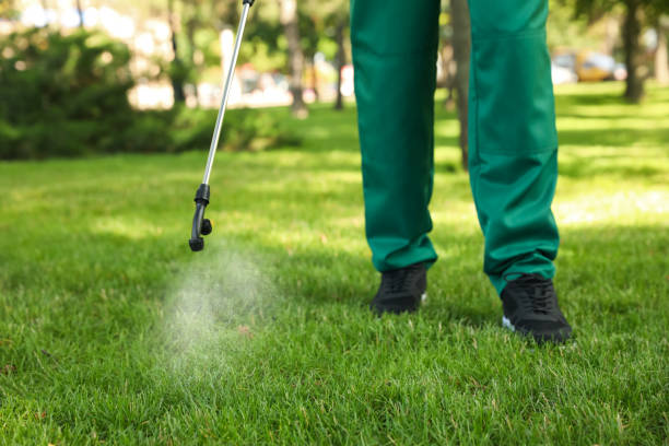 Best Bed Bug Extermination  in Puyallup, WA